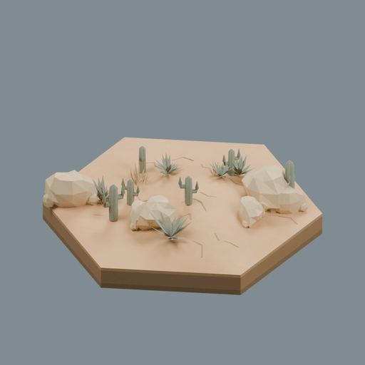Subtropical Desert biome